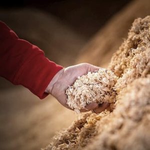 ARS® Wood Chips Bedding for Rabbits Hamsters, cats,Chinchillas Birch Bedding Sawdust Hamster Accessories for Litter and Erasion (300g) - Image 6